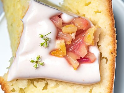 Rhabarber-Erdbeer-Zitronen-Mousse-Torte mit Holunderblüten-Rahm
